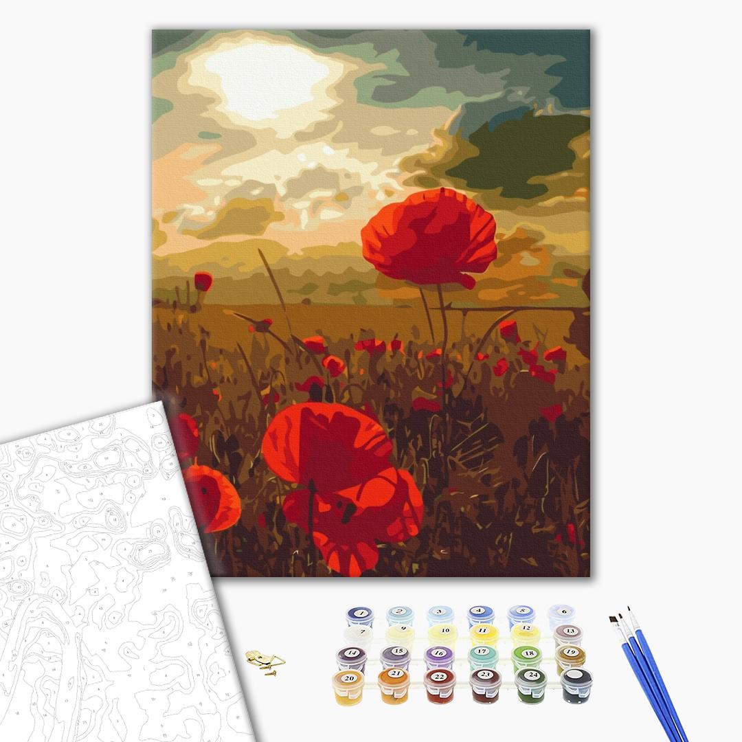 Poppies under the scorching sun Paint by numbers Brushme