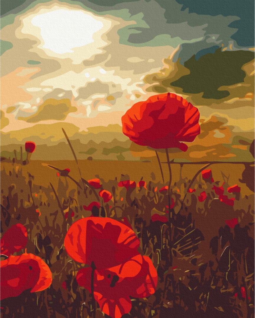 ᐉ Buy Paint by numbers Poppies under the scorching sun BS51961 • price