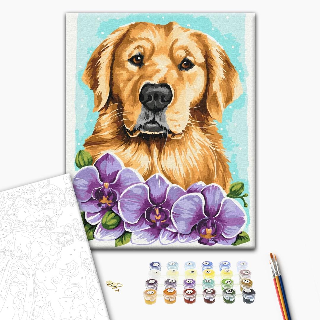 Golden retriever © Anna Kulyk Paint by numbers Brushme