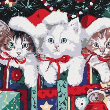 Kerstkatten