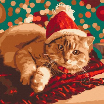 Die Weihnachtsmann-Katze