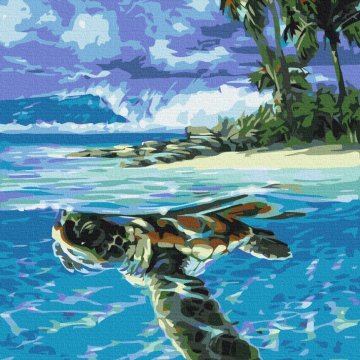 Tropische Schildkröte