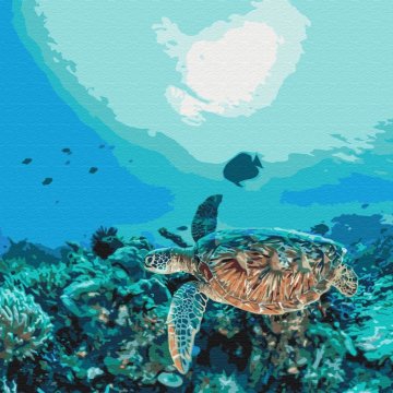 Tortue dans un récif corallien