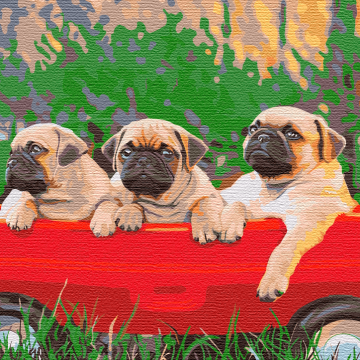 Les pugs