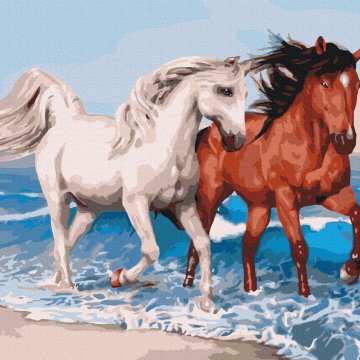 Konie na wybrzeżu