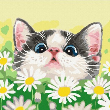 Cat in daisies