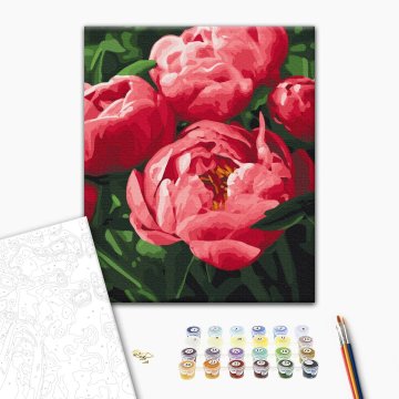 Saturated color of peonies