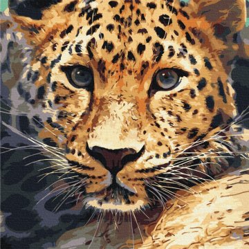 Portret de leopard