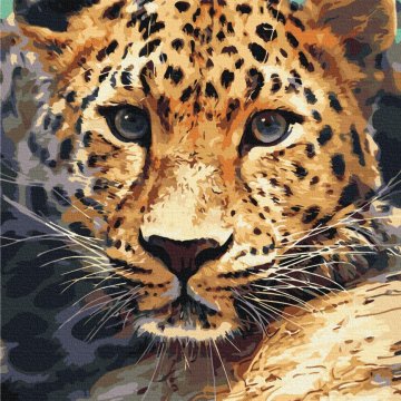 Portrét leoparda