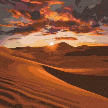 Sunset in the desert