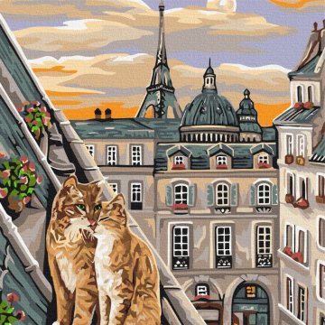 Czułość kotów w Paryżu