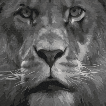 Lion dans les tons noir et blanc