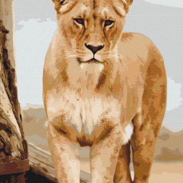 Une jeune lionne
