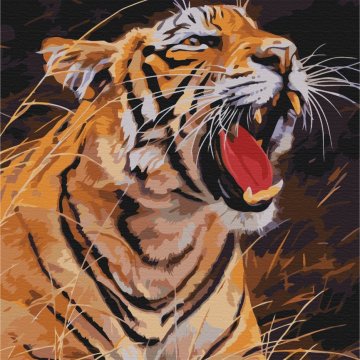 Roar of a tiger