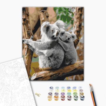 Famille de koalas