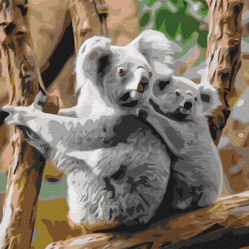 Koala familie