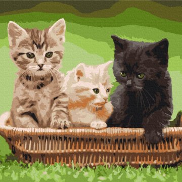 Chatons dans un panier