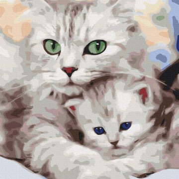 Mom cat with kitten