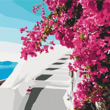Santorini flori