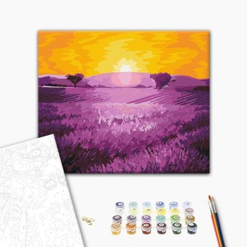 Sonnenaufgang über Lavendel