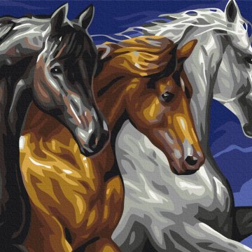 Trojice koní