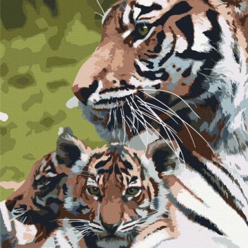 La famille des tigres