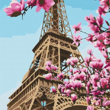 Sakura in Paris