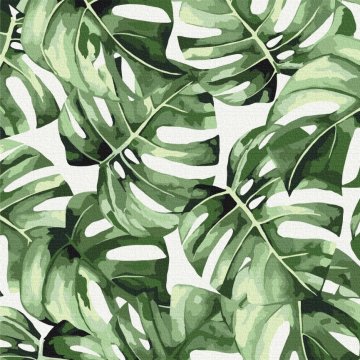 Exotic monstera