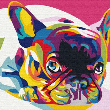 Rainbow french bulldog