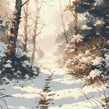 Snowy path