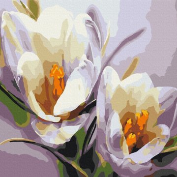 Crocuses