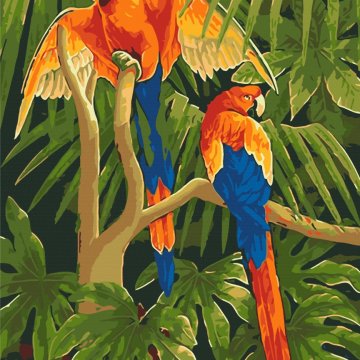 Les oiseaux tropicaux