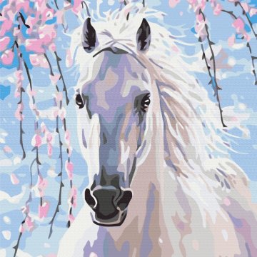 Horse in sakura flowers