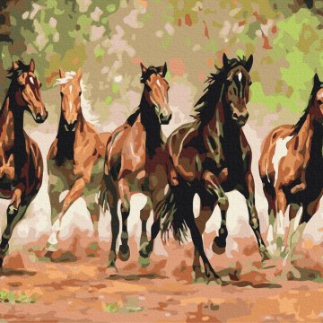 Herd of horses