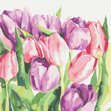 Ochtend tulpen © Karolina Bundash