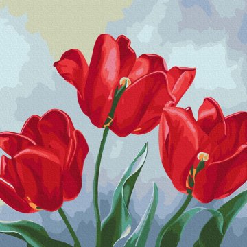 Červené tulipány © Anna Steshenko