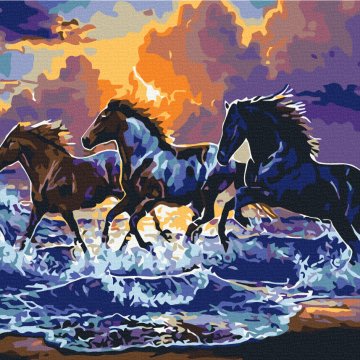 A herd of black horses