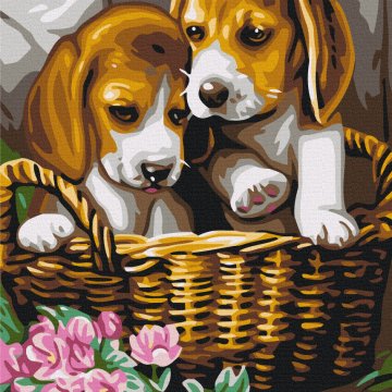 A couple in a basket