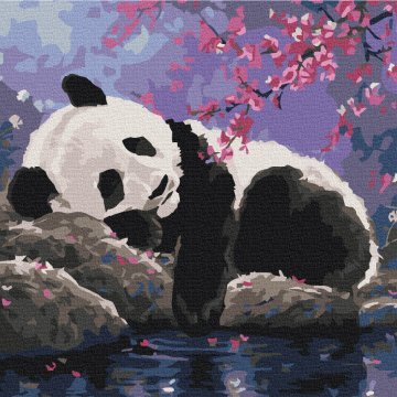 Doux sommeil du panda