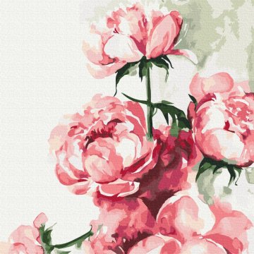 Aquarelle de pivoines ©Karolina Bundash