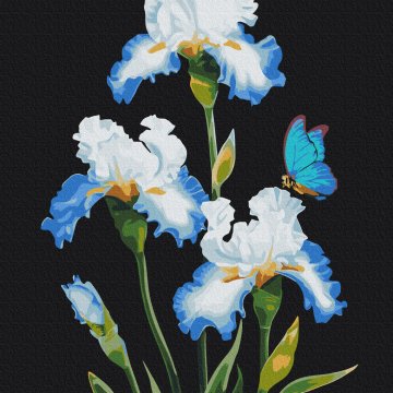 Iris © Anna Steshenko