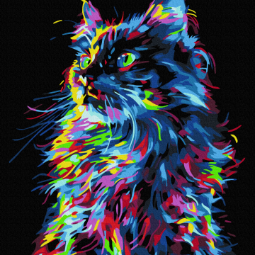 Magic Cat