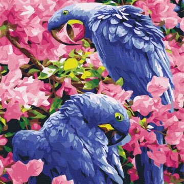 Birds in flowers