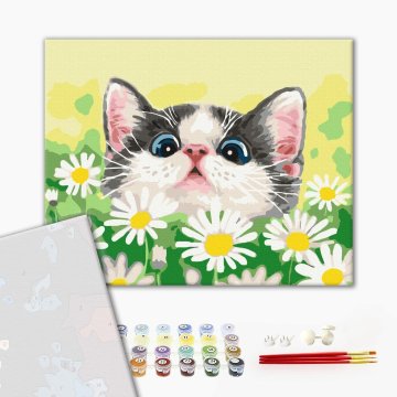 Cat in daisies