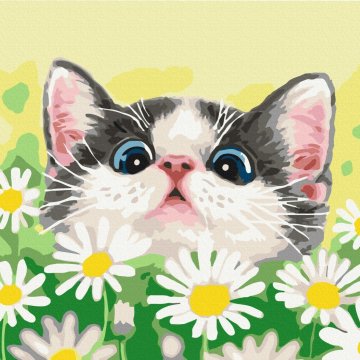 Cat in daisies