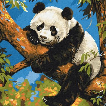 Panda paresseux