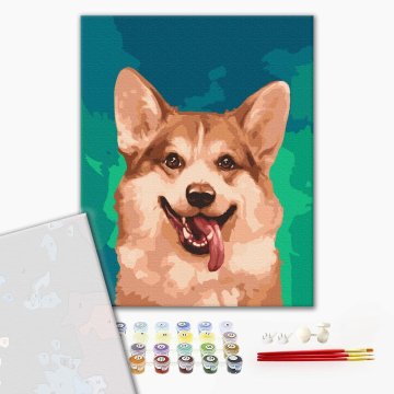 Corgi en couleurs