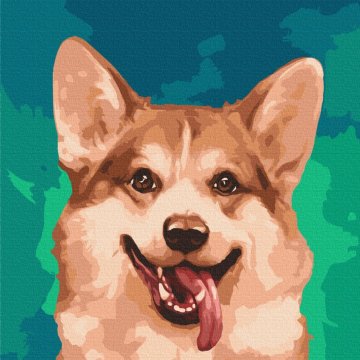 Corgi en couleurs