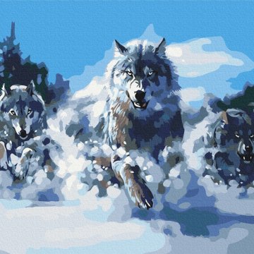 Loups en mouvement