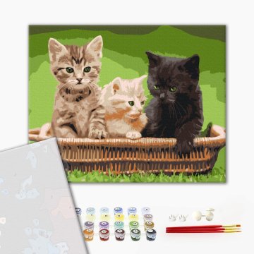 Chatons dans un panier